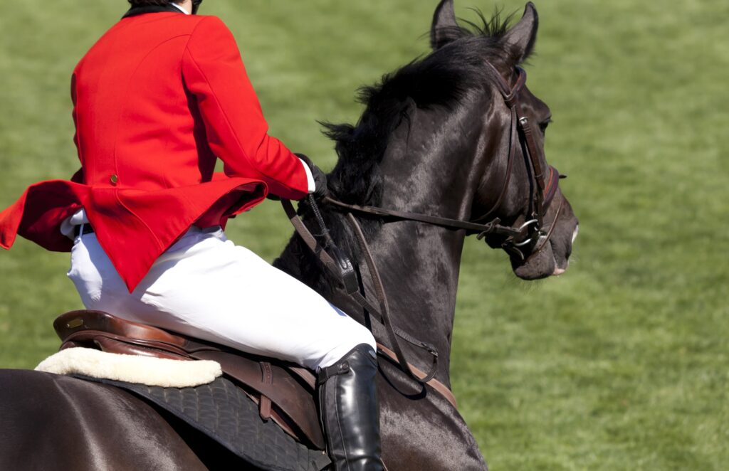 Die perfekte Ausrüstung für das Reitturnier: Für Reiter & Pferd