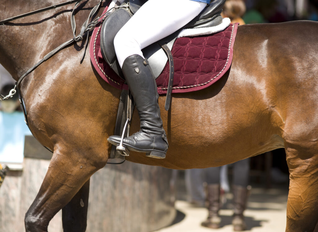 Die perfekte Ausrüstung für das Reitturnier: Für Reiter & Pferd