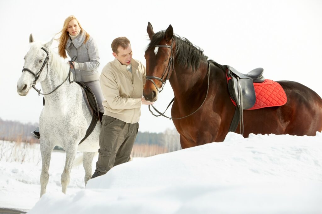 Reiter-Überblick: Geschenke für Pferd, Reiter & Trainer, Ausrüstung für Reitturniere & mehr